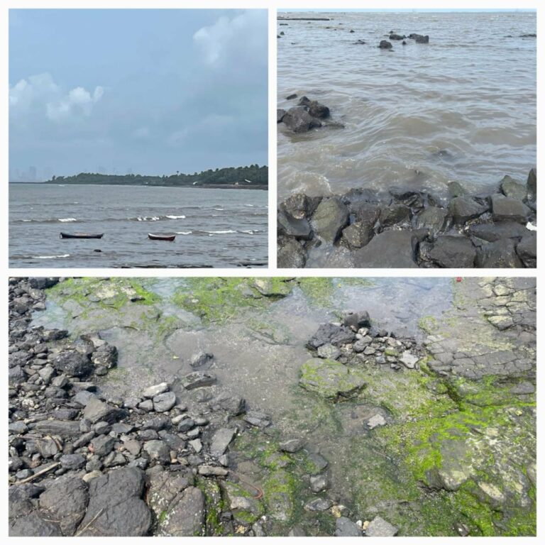 No damage due to oil spill near Uran