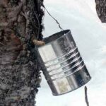 Blue Star Publication’s Glorious Award: Celebrating Excellence in Writing, Photography, and Art