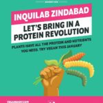 Silly Monks Entertainment to be the official ‘Digital Partner’ of Dadasaheb Phalke International Film Festival Awards 2024