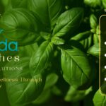 Hadala Kitchen Equipment Simplifying HORECA Sector in India