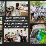 Explorers Company Private Limited: Elevating Tourism with Unparalleled Quality and Personalized Experiences