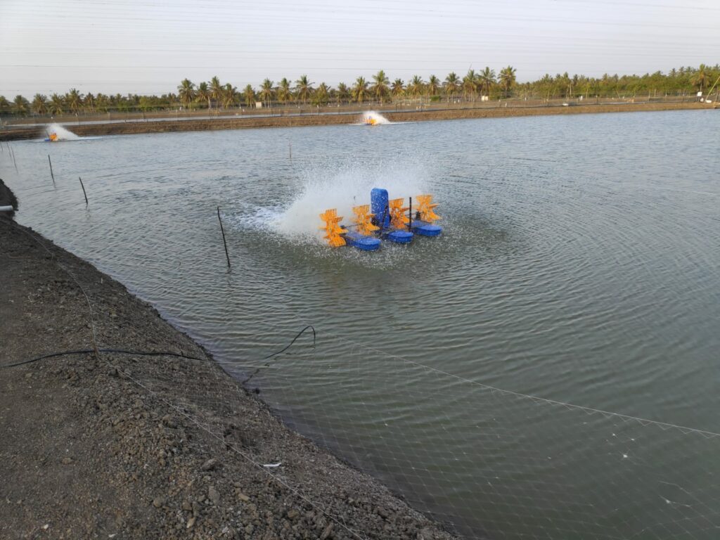 Aquaculture industry’s Leading paddle wheel aerator manufacturers Ardis Enviro Solutions