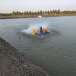 Importance of a Scientifically Designed Diagnostic Test Before Starting Preparation for Competitive or Scholastic Exam