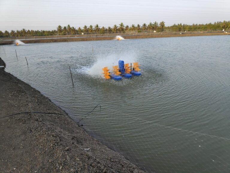 Aquaculture industry’s Leading paddle wheel aerator manufacturers Ardis Enviro Solutions