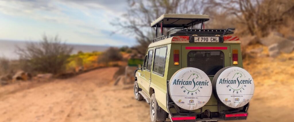 African Scenic Safaris – Tailor-Made Experiences in Tanzania Safari & Kilimanjaro Climb