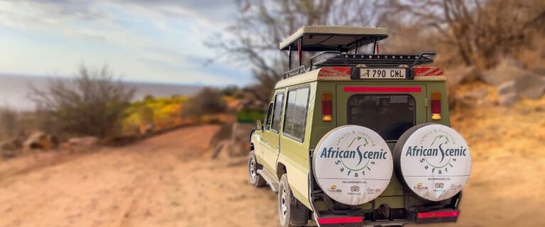 African Scenic Safaris – Tailor-Made Experiences in Tanzania Safari & Kilimanjaro Climb