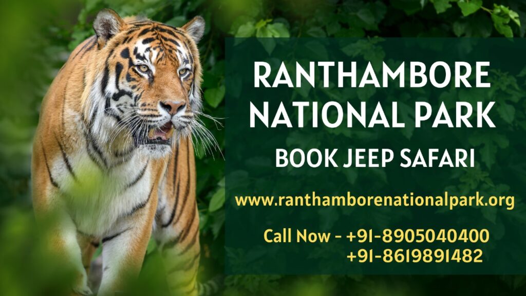 Exploring the Wilderness: A Thrilling Wildlife Safari at Ranthambore National Park
