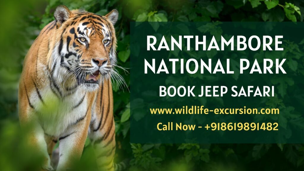 Book a Thrilling Wildlife Safari at Ranthambore National Park