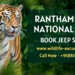 Unravel the Secrets of Coorg with Triptocoorg.com: The No.1 OTA Platform of Coorg for Unforgettable Travel Experiences