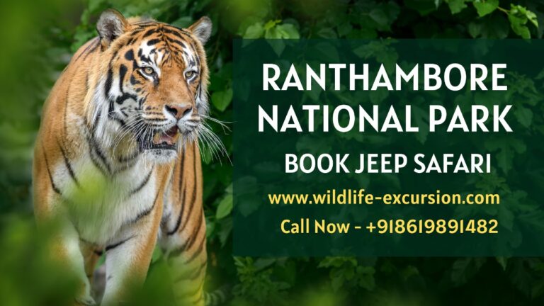 Book a Thrilling Wildlife Safari at Ranthambore National Park