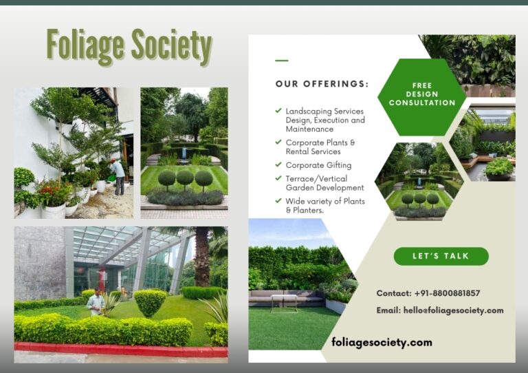 Elevate Your Outdoors with Foliage Society’s Expert Maintenance Services