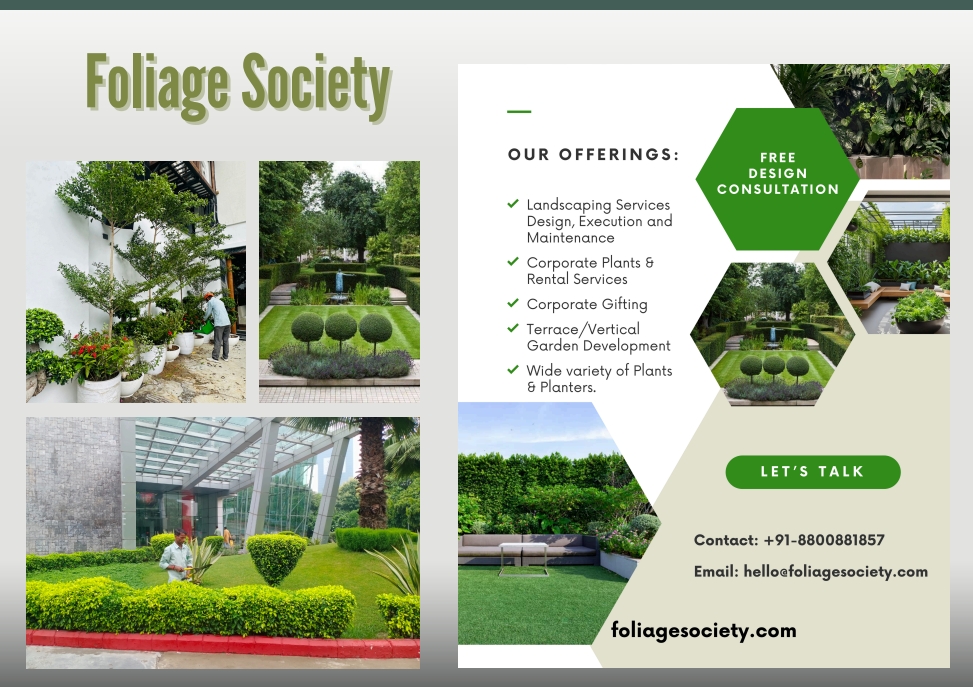 Elevate Your Outdoors with Foliage Society’s Expert Maintenance Services