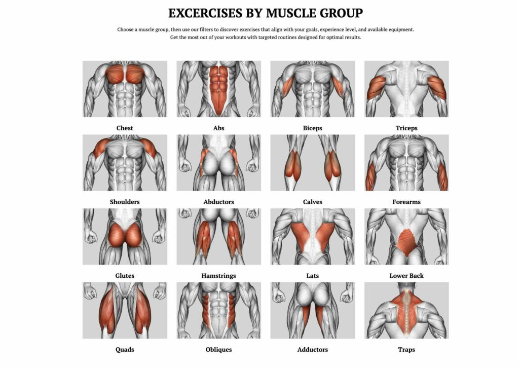 Flexxp.com: Unlock Your Fitness Potential with the Ultimate Workout Generator