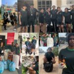 Cotfit: The Perfect Mattress for All Family Needs