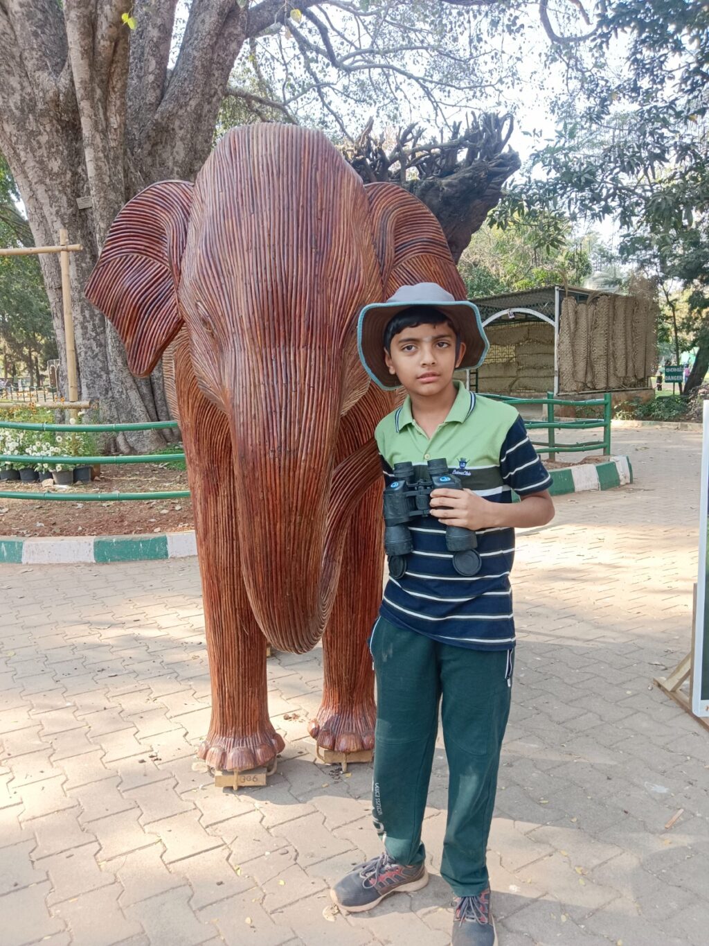 The Incredible Journey of Vignesh Arunkumar: A Young Prodigy’s Path to Excellence