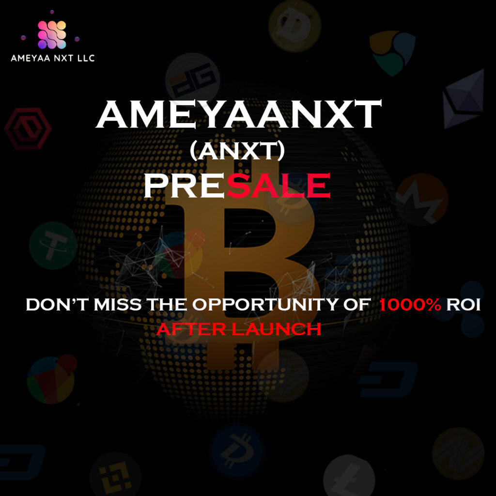 Unlocking Financial Potential with Ameyaa NXT LLC