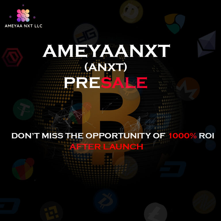 Unlocking Financial Potential with Ameyaa NXT LLC