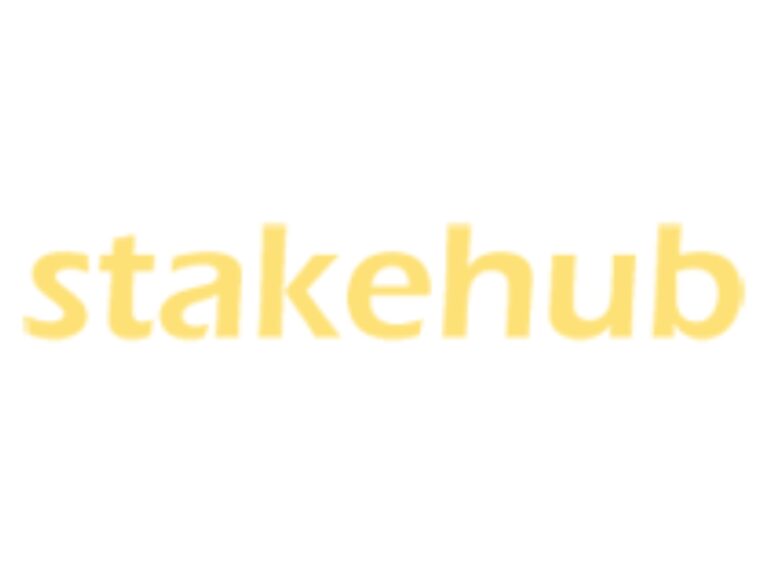 StakeHub: Pioneering Wealth Growth Through Transparent and Balanced Investment Strategies