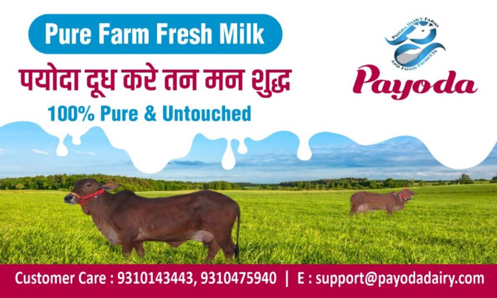 Payoda Dairy Introduces Farm-to-Table Dairy Products in Gurgaon, Bhiwadi, Manesar and Dharuhera