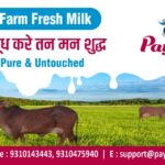 Info Origin and IIT Delhi Collaborate to Advance Research in Generative AI Through MoU