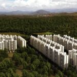 Ceinsys Tech Reports 54% Growth in Q2 Revenue, Net Profit Jumps 149%
