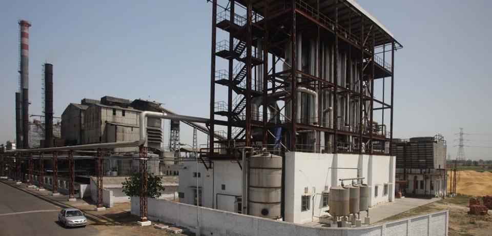 Milk Food Ltd. Announces Sale of Moradabad Plant Land, Plans Bold Expansion into Ice Cream, Cheese, and Butter Businesses