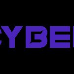 IDFC FIRST Bank Q3 FY25 PAT at Rs. 339 crore, Core Operating Profit up 15% YoY