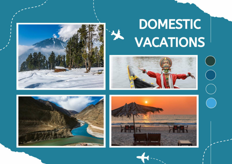 Travelmaddy: Your Trusted Partner for Unforgettable Journeys