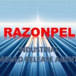 Indian Entrepreneur & Flexibees CEO Shreya Prakash named among Aurora Tech Award 2025 Groundbreaking Finalists