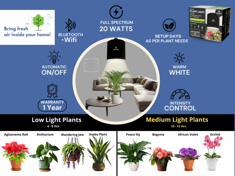 BASICS: Plant Light + Indoor Plants = Healthier Air & Healthier You