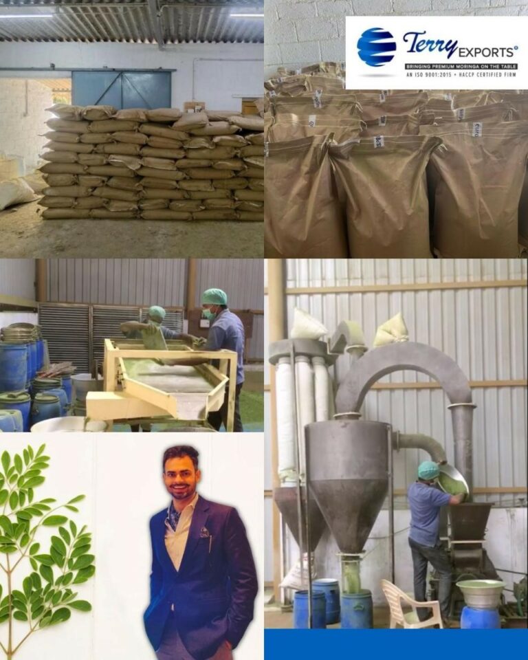 The Growing Demand for Moringa Products: Leading Moringa Exporters in India