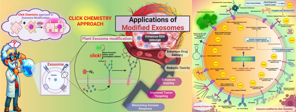 An Innovative Approach to Cancer Treatment: Click-Modified Exosomes Pave the Way for Targeted, Personalized Therapy