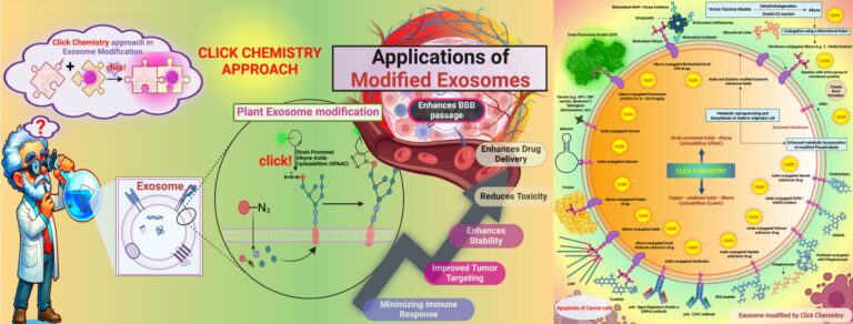 An Innovative Approach to Cancer Treatment: Click-Modified Exosomes Pave the Way for Targeted, Personalized Therapy
