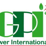 Saheel Properties: The Visionaries Who Redefined Modern Living Before It Became a Trend