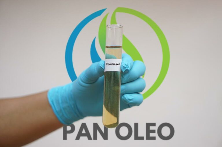 Fueling a Sustainable Future: Pan Oleo Energy’s Blueprint for Next-Gen Sustainable Fuels