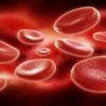 XM Reaffirms Its Leadership in Delivering a Superior Trading Experience