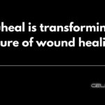 Driving Financial Excellence with Innovation: Yogesh Pondicherry on Bindz’s Future-Ready Consulting Model