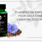 ‘A Home Away from Home: Safe & Convenient Hostel & PG Services in Newtown’