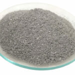 Manav Rachna International Schools Celebrate Academic Brilliance with Exceptional CBSE 2025 Results Across 5 Cities