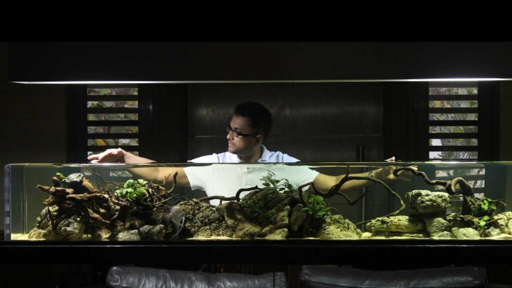 Bringing Aquascaping to the Forefront of Modern Design in India – Abhik Mazumdar, Founder, Reef and Stream