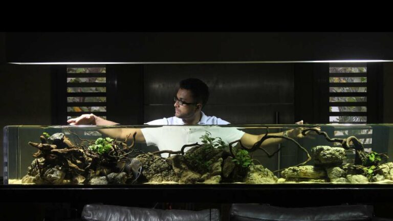 Bringing Aquascaping to the Forefront of Modern Design in India – Abhik Mazumdar, Founder, Reef and Stream