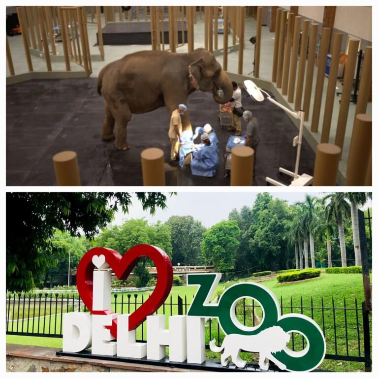 A New Chapter in Animal Conservation: Vantara Champions a People-Centric, Compassion-Driven Partnership with the Delhi Zoo