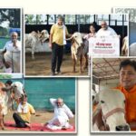 Nothing Phone (3) to offer five years of Android upgrades and seven years of security updates