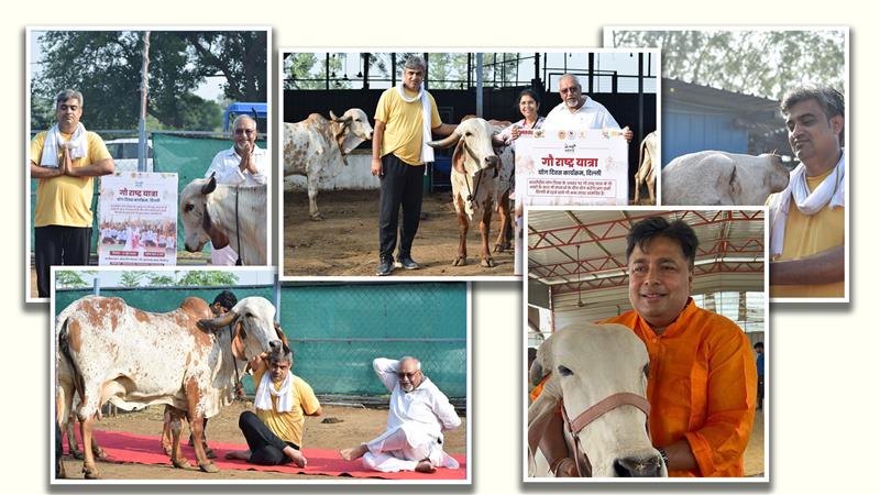 Yoga with Gaumata: Inspired by the Spirit of Gau Rashtra Yatra