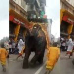 New Digital Platform ‘Vedaspark’ Brings Free, Actionable Vedic Numerology Tools to a Global Audience