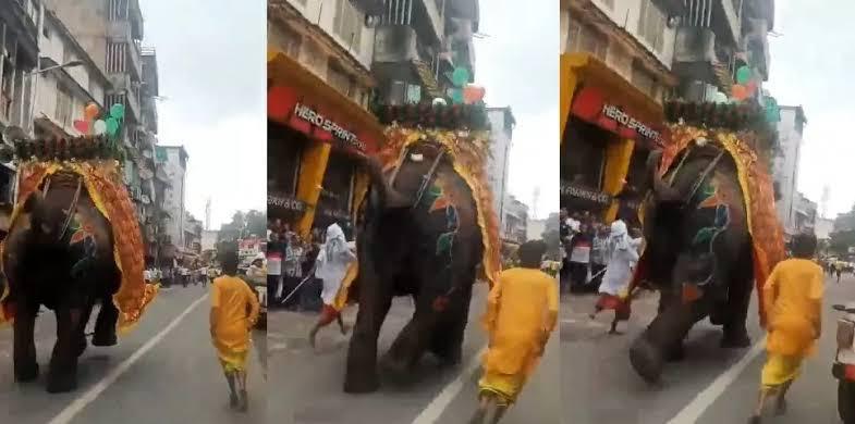 Elephants Panic During Ahmedabad Rath Yatra, Video Goes Viral; Vantara Steps In Amid Renewed Animal Welfare Debate