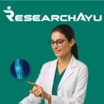 Start Your Own iGaming Business in 2025 with IceSuper.com – The Most Trusted Platform for Whitelabel, Super Master & Master Solutions