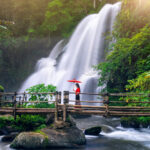 Mozilor Inaugurates Flagship Office in Kochi