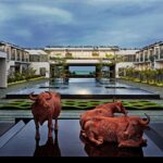 Döner & Gyros and Nora Burger Expand Footprint with Grand Opening in Mansarovar, Jaipur