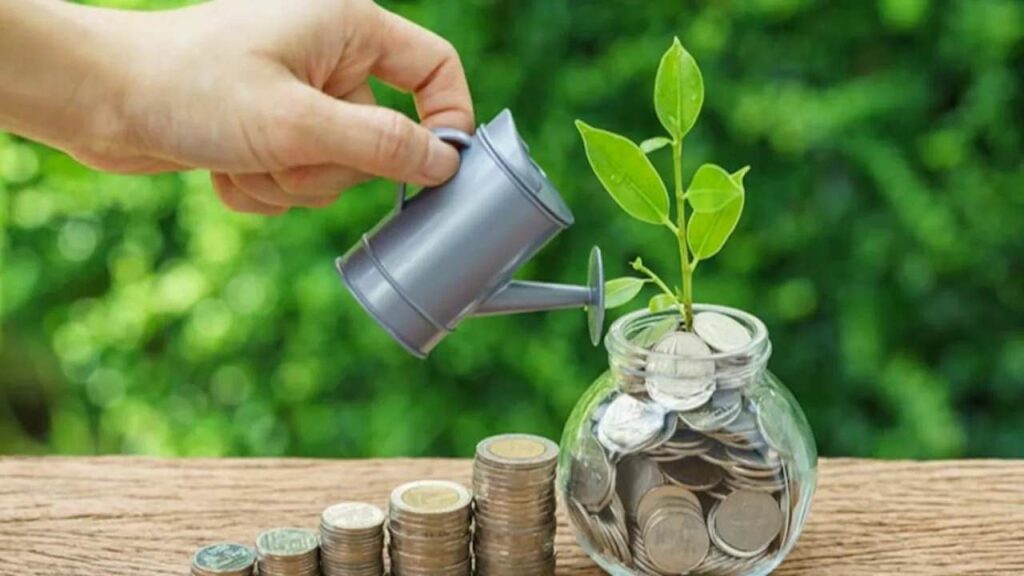 Savings Plan vs Term Insurance: What Budget 2025 Means for Your Financial Strategy
